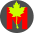 New Canadian Music Banner